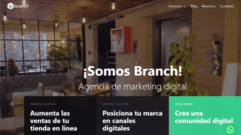 ¿Qué agencia SEO en Colombia tiene mejores referencias de clientes? Branch Branch